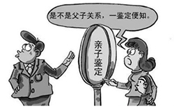成都隐私亲子鉴定多少钱，成都隐私亲子鉴定如何办理