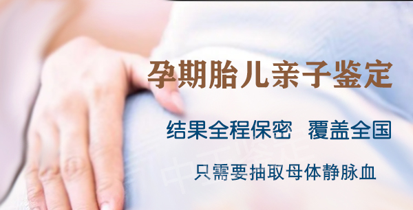 成都怀孕需要如何做血缘检测,成都办理产前亲子鉴定服务详解